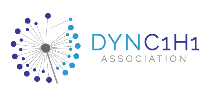 DYNC1H1-complexforweb