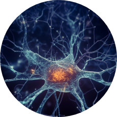Brain_Health