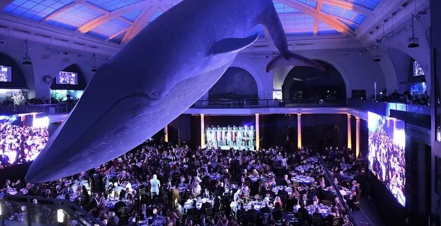 Whale room Whale room